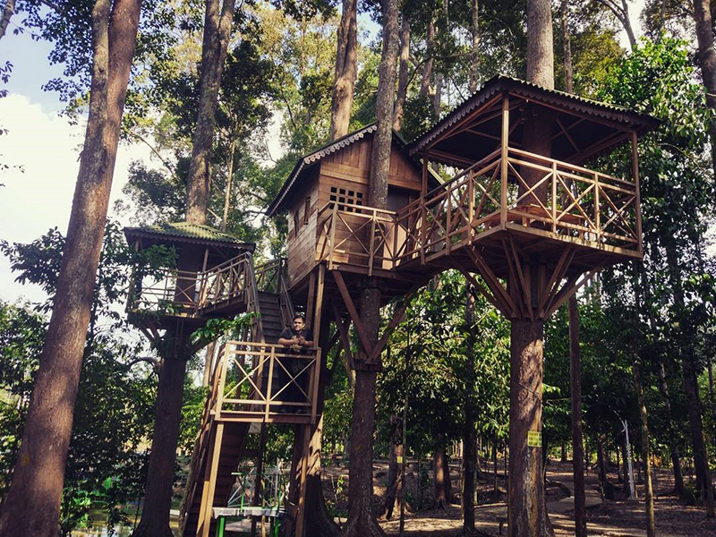 Spot Foto Hutan Lindung rumah pohon